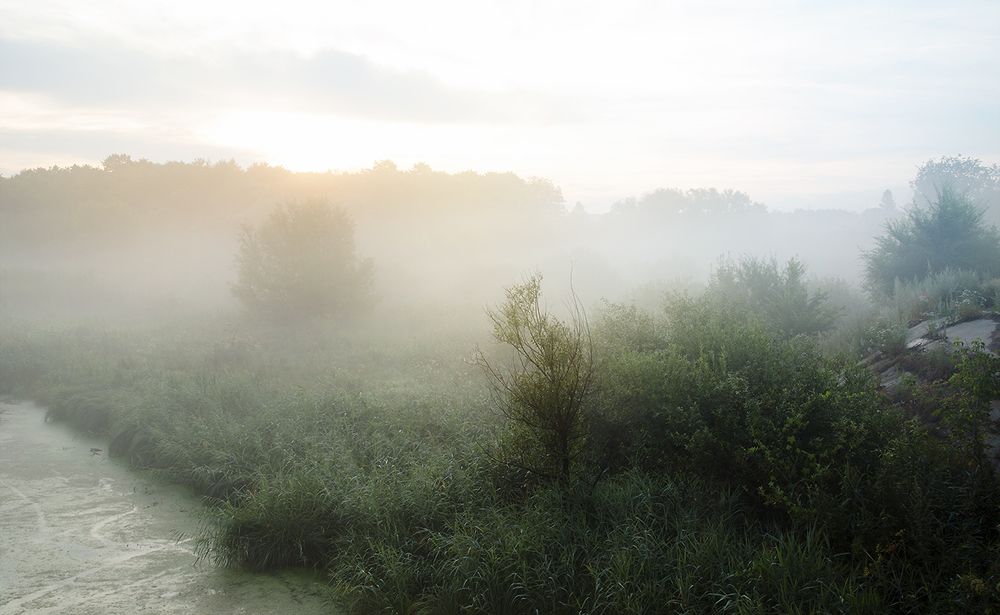 Photograph by Алина Аристова