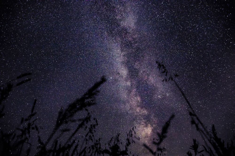 Photograph by Алина Аристова