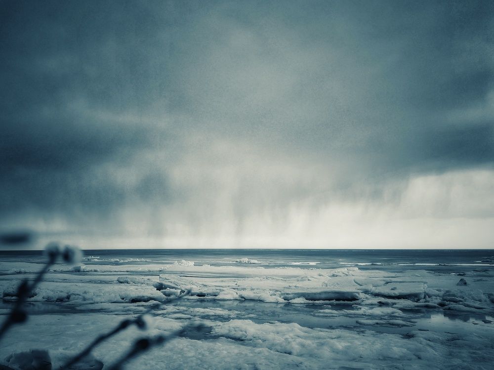 Spring on the bay