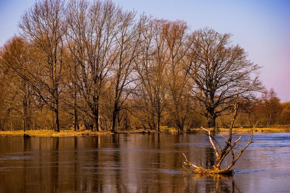 Photograph by Валерий Талейко