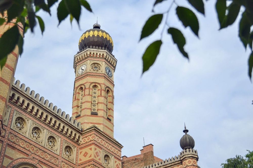 Фотография автора Ольга Колонтаева