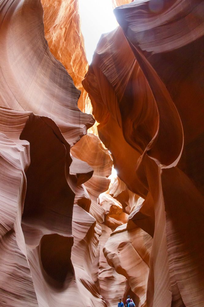 Photograph by Max. Assenbrunner