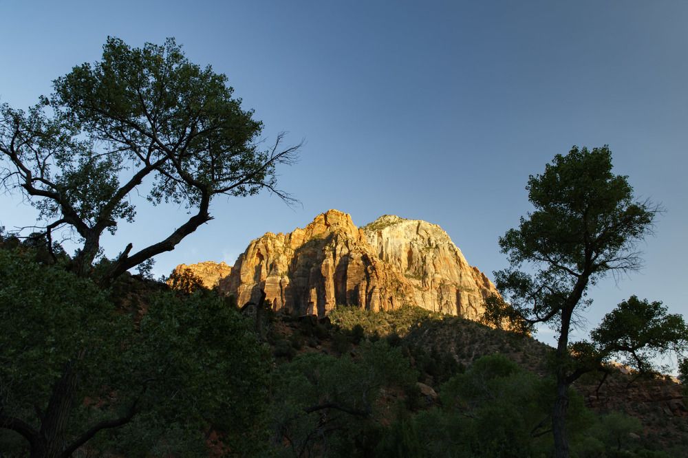 Photograph by Max. Assenbrunner