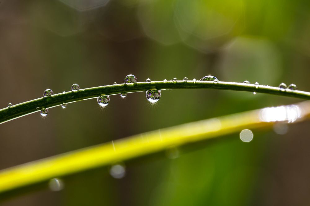 Photograph by Max. Assenbrunner