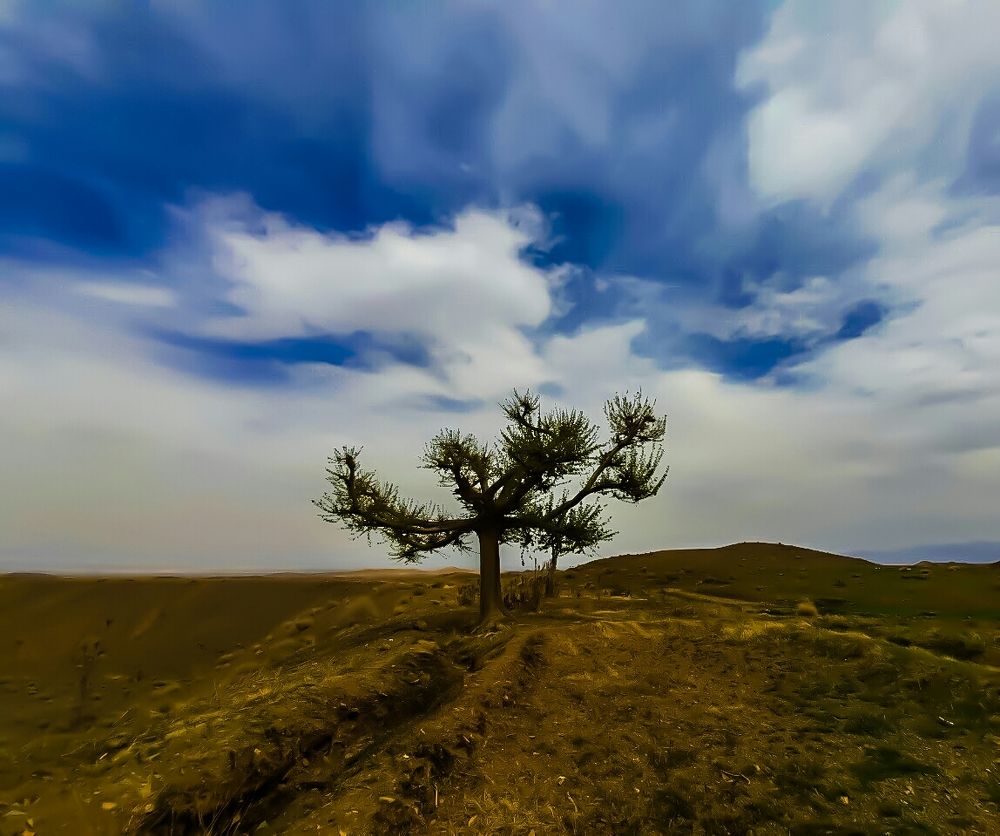 Photograph by Mozhgan Fotouhi