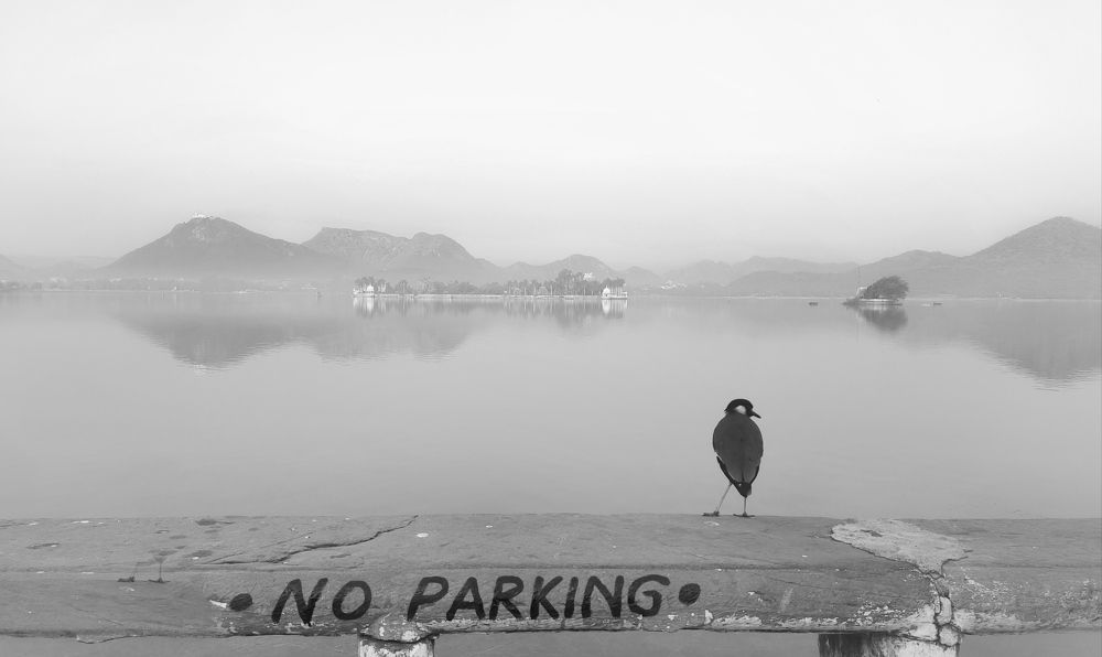 Photograph by Rohan Kothari