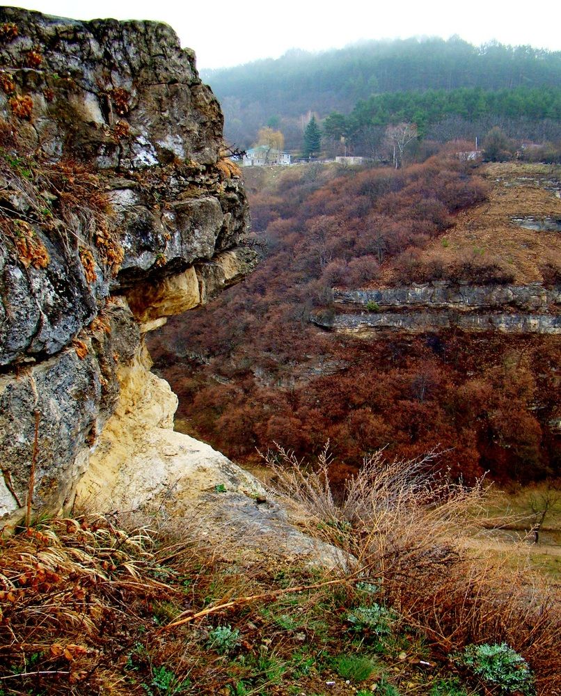 Photograph by Евгений Бригиневич - Снежин