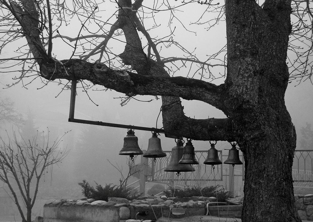 Photograph by Евгений Бригиневич - Снежин