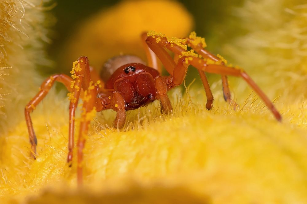 Photograph by Gonzalez Paul Andres