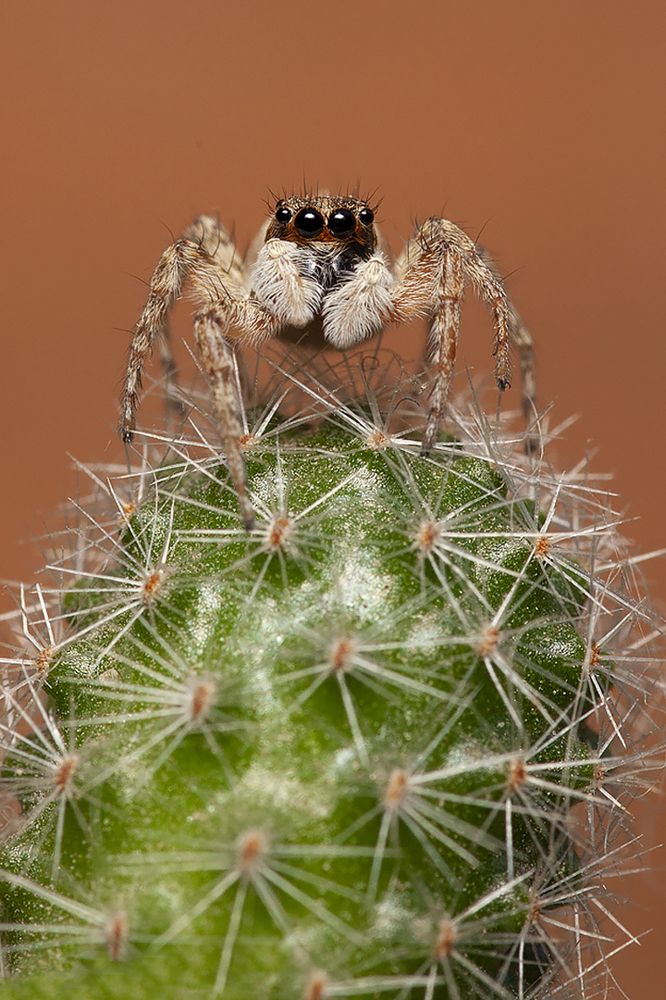 Photograph by Gonzalez Paul Andres