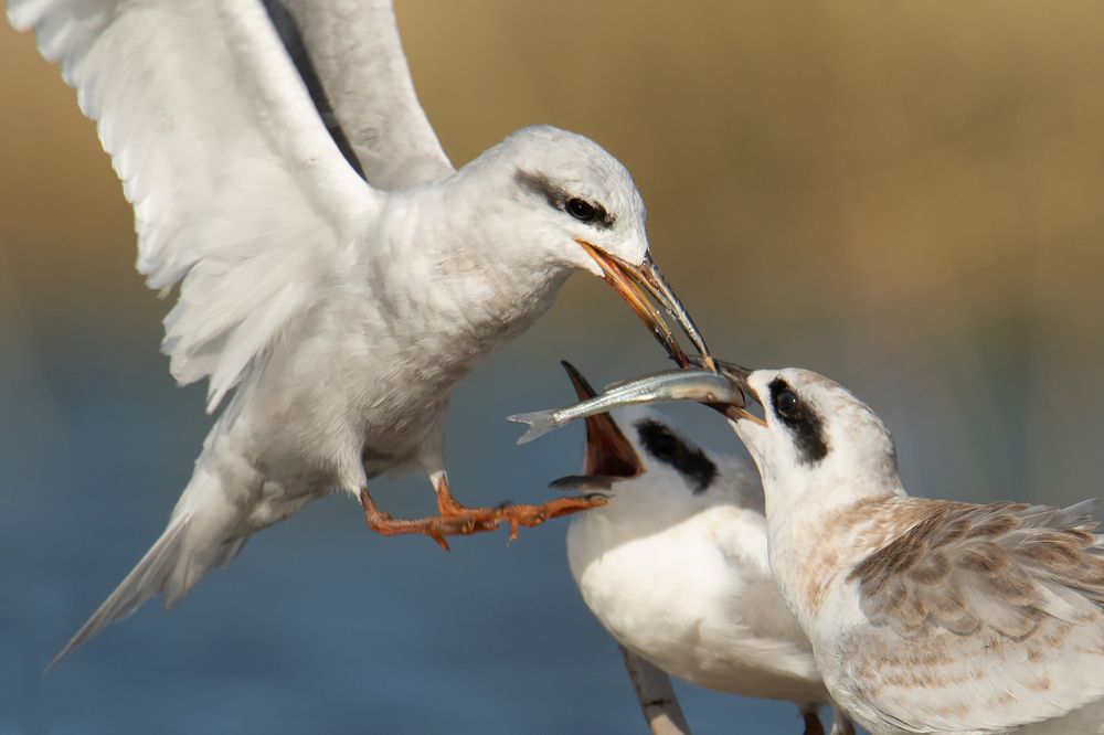 Photograph by Gonzalez Paul Andres