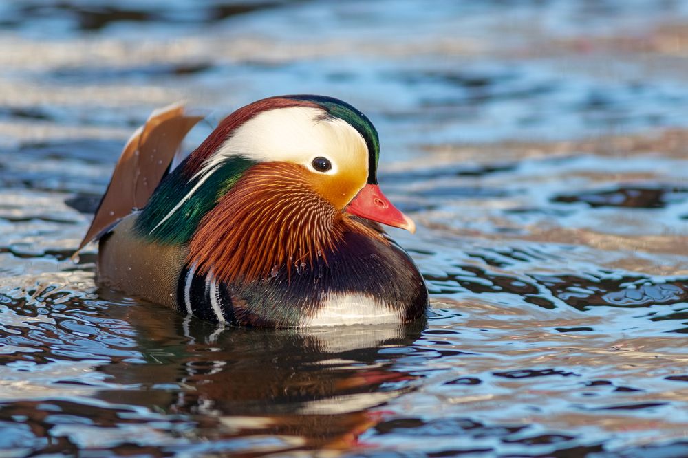 Photograph by Павел Краснослободцев