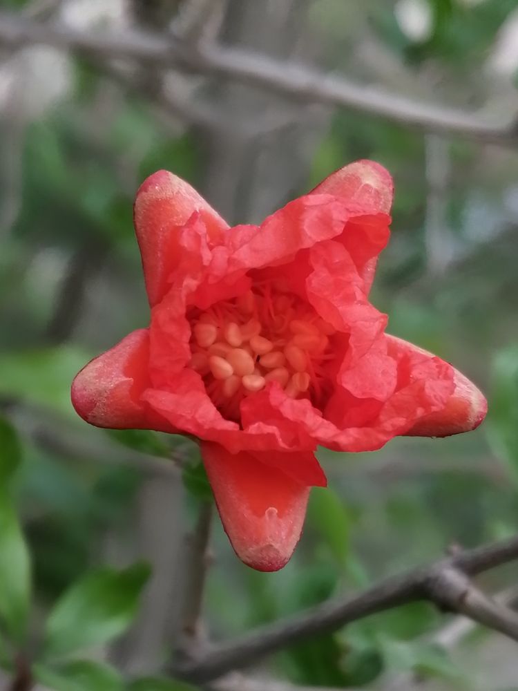 Фотография автора Bahaaddin Saber