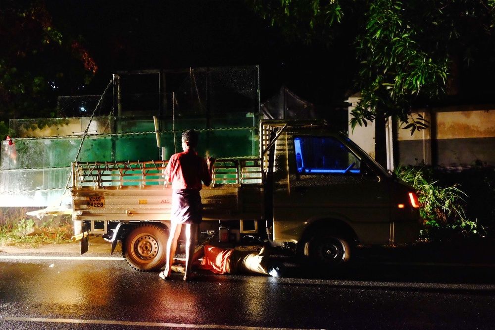 Photograph by Shamseer Shamsudheen