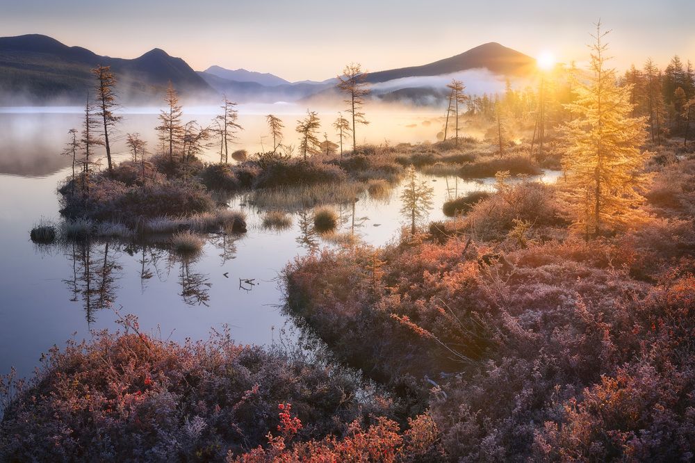 Photograph by Дмитрий Медянцев