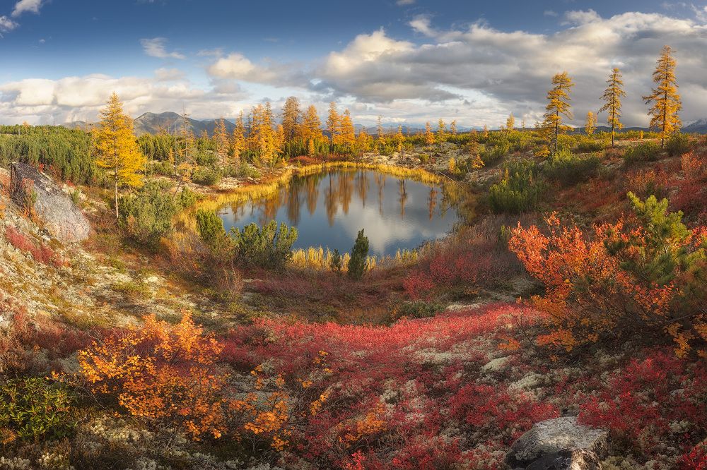 Photograph by Дмитрий Медянцев