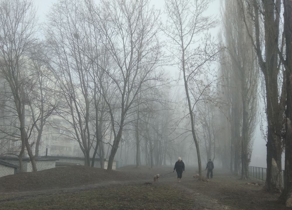 Photograph by Галина Лысых