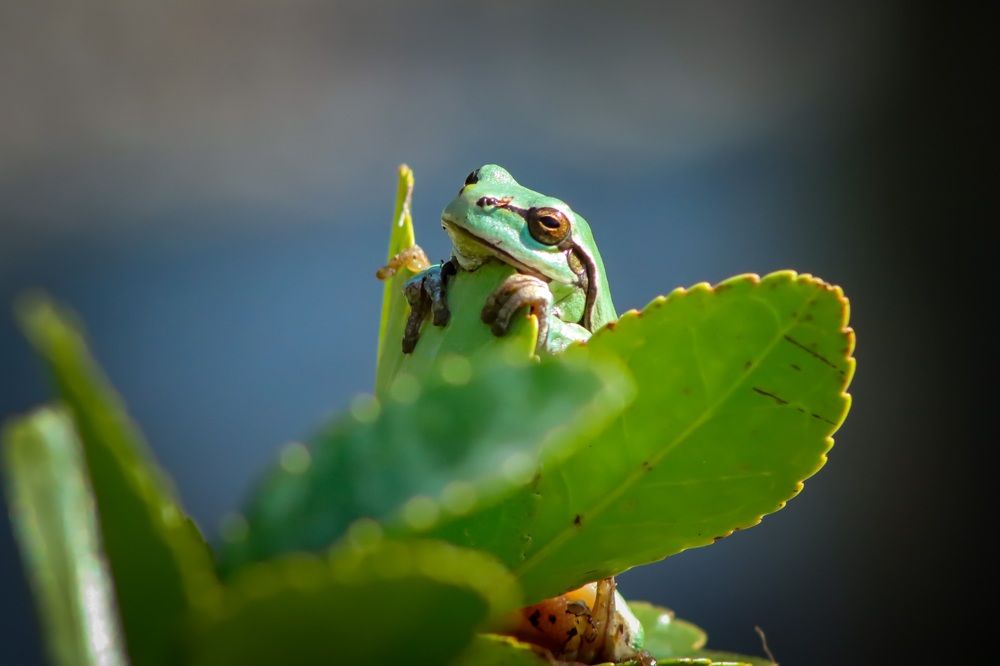 Photograph by Milan Sitko