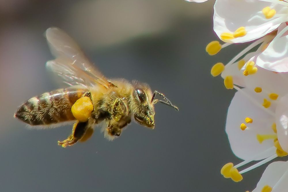 Photograph by Milan Sitko