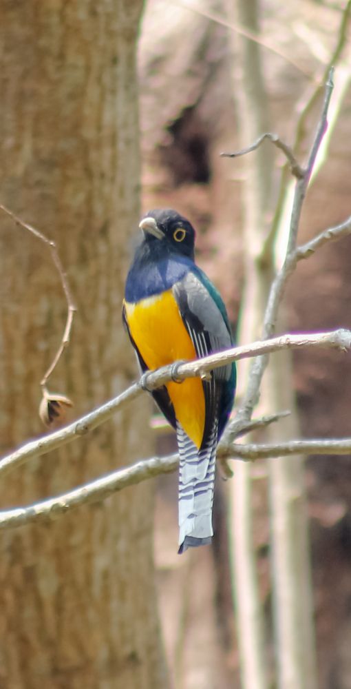 Photograph by Jesus Santamaría