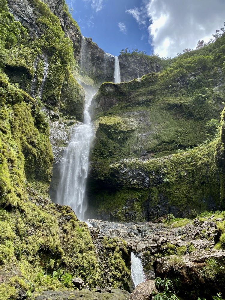 Photograph by Arthur