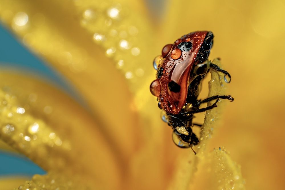 Photograph by Марина Беликова