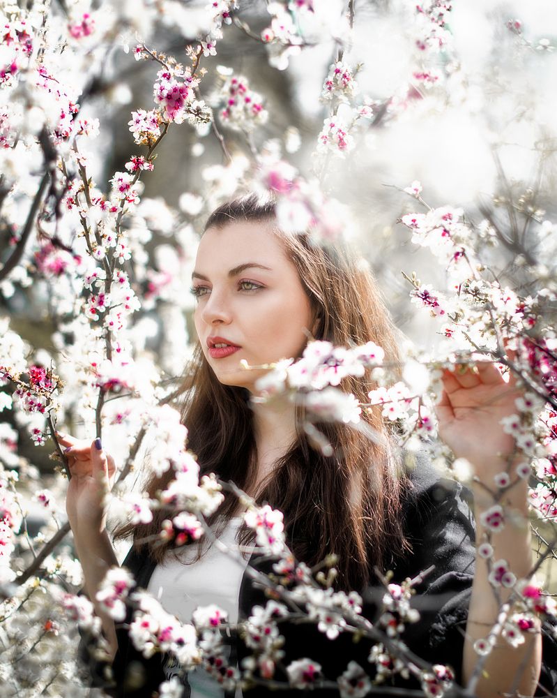 Фотография автора Milad Mohammadi