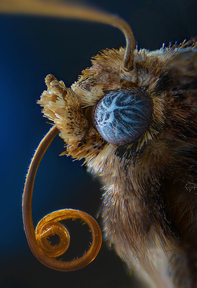 Photograph by Eduardo Modolo