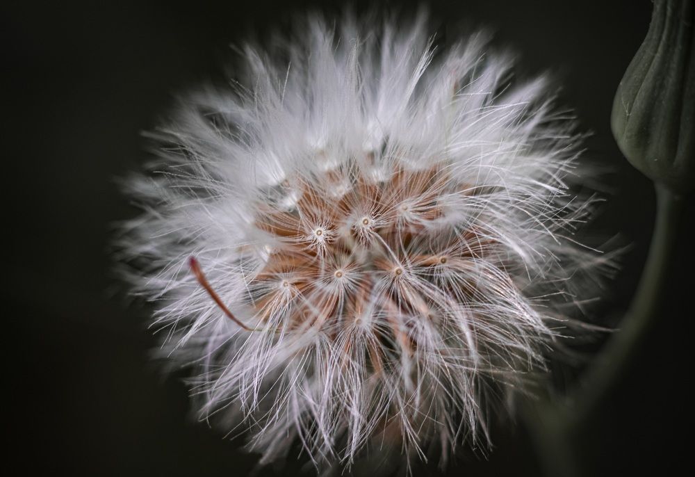 Photograph by Everson Carvalho