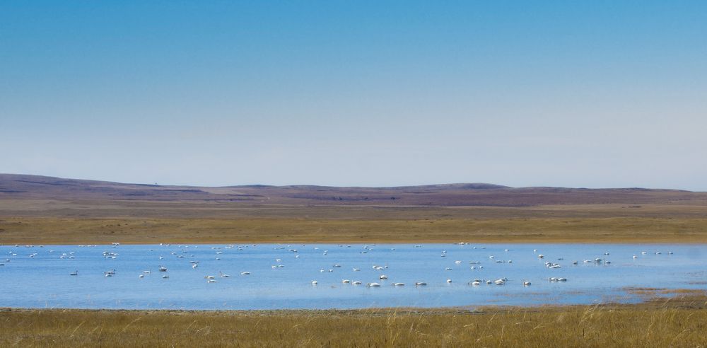 Photograph by Пётр Леонов