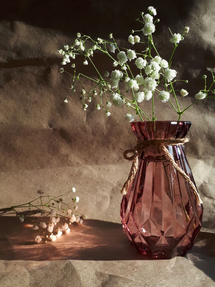 Photograph by Анна Кабиева