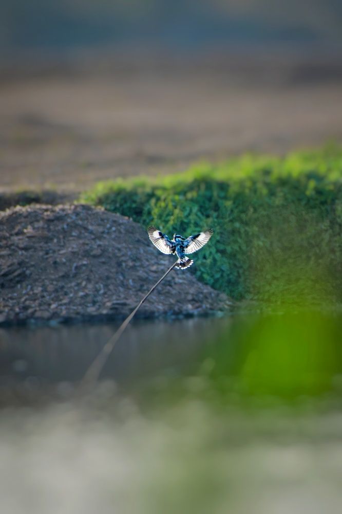 Photograph by MD AKBAR HOSSAIN Akbar