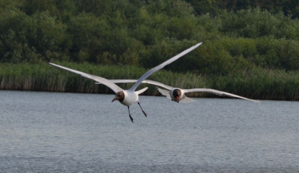 Photograph by Татьяна Адамович