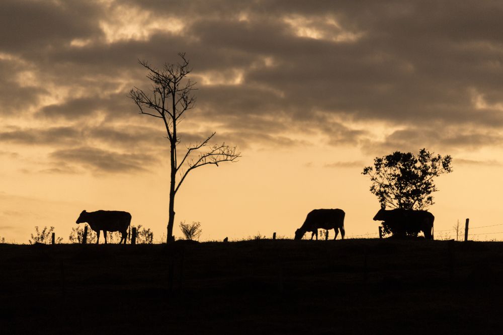 Photograph by samuel celegatti