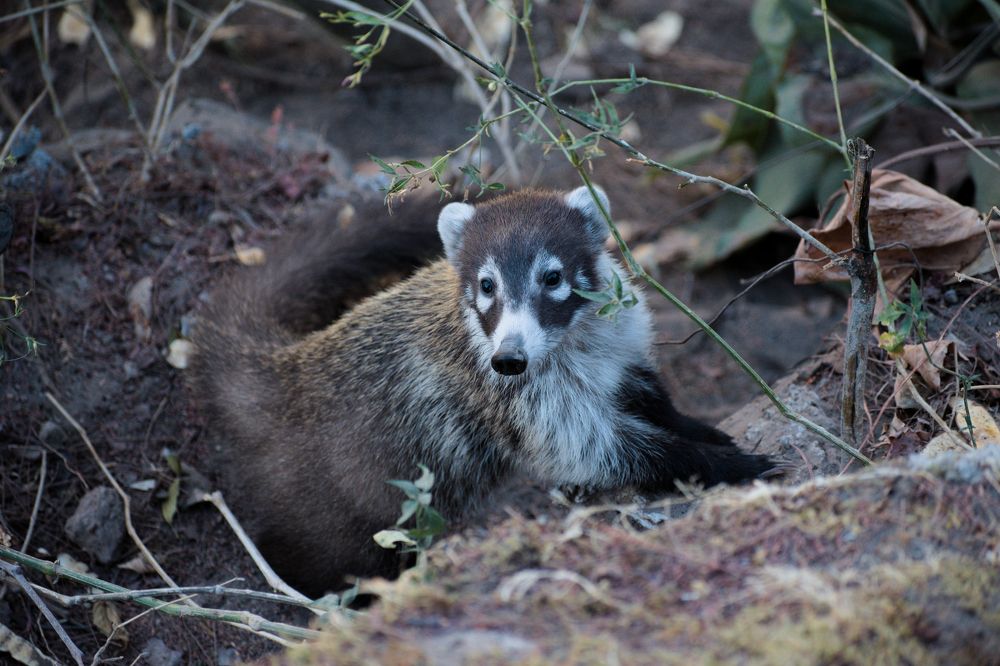 Photograph by Juan Carlos Pascual López