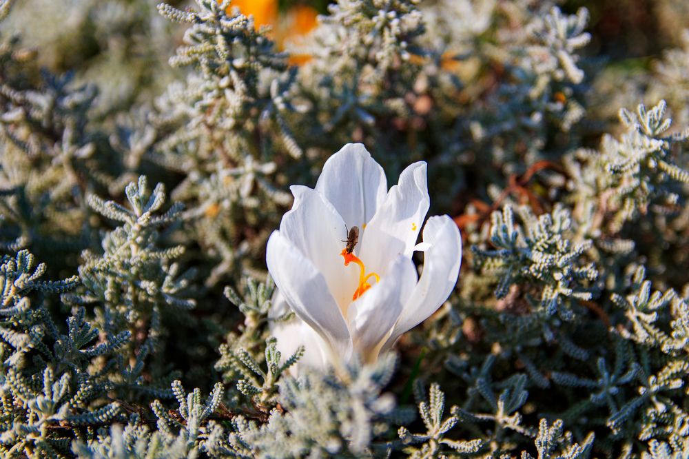 Photograph by Андрей Хаецкий