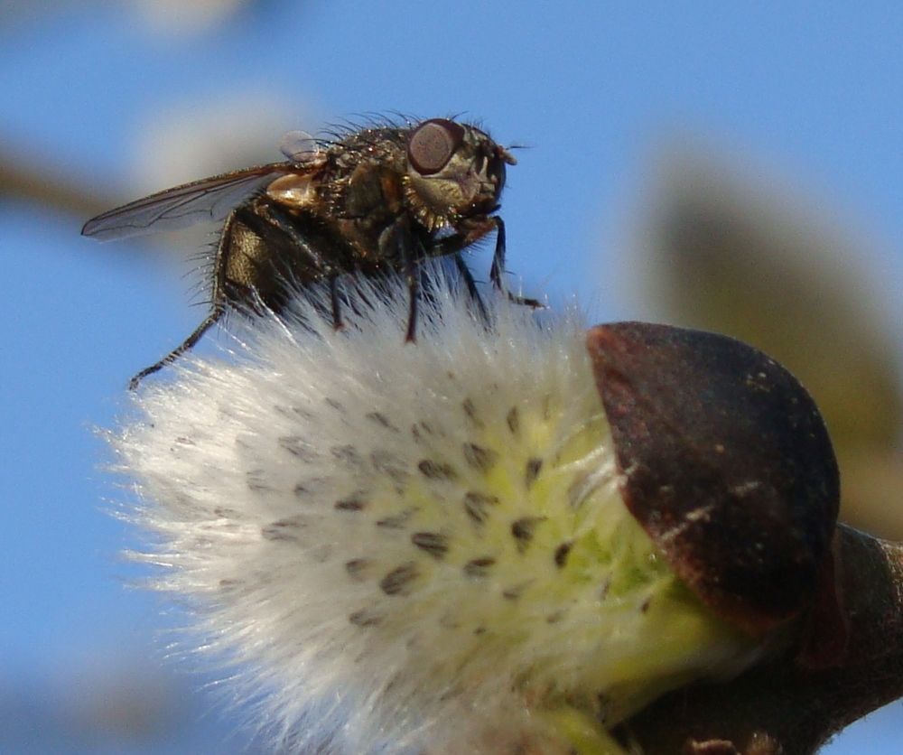 Photograph by Николай Худяков