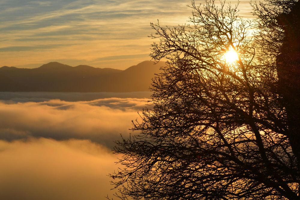 Photograph by Екатерина Крючкова