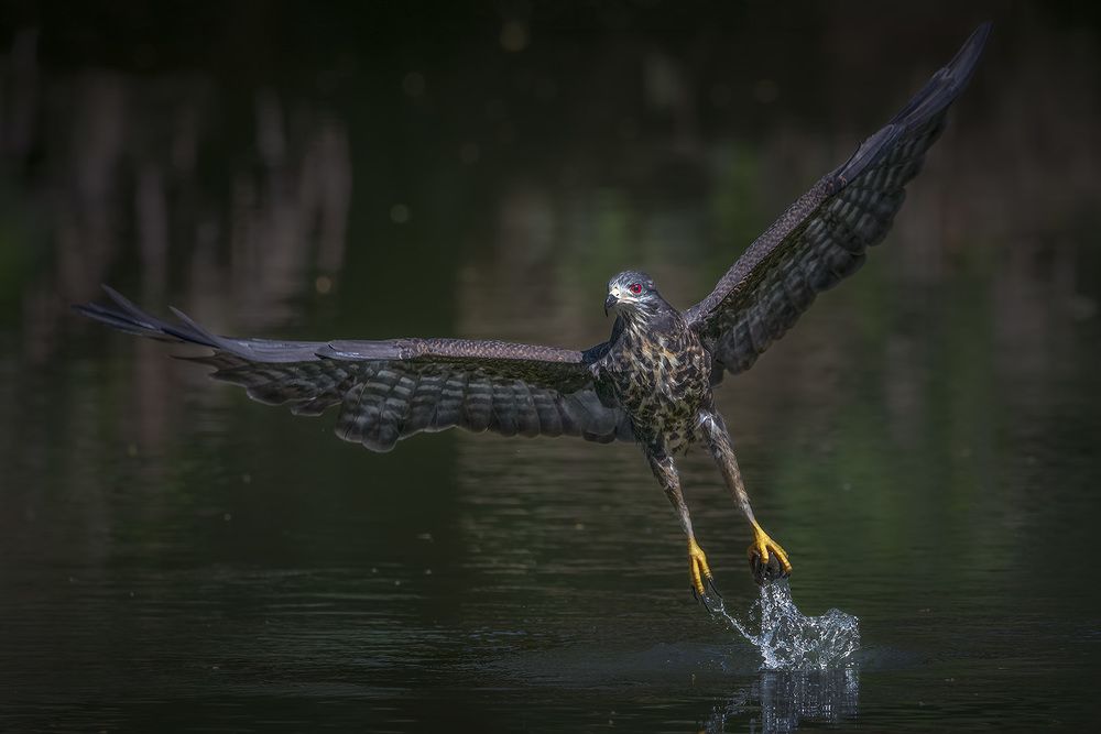 Photograph by André Inidio