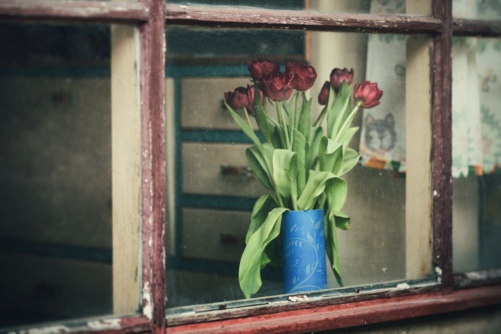 Photograph by Angelika Kopják