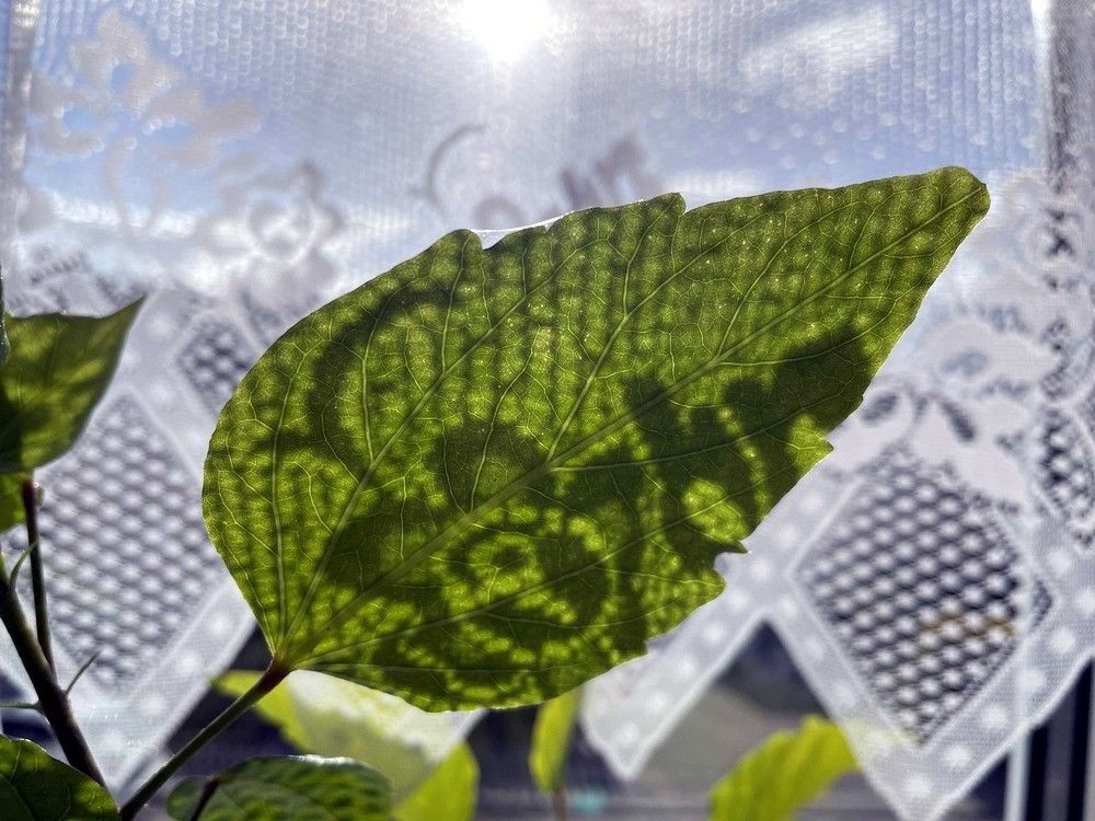 Photograph by Марина Дикманн