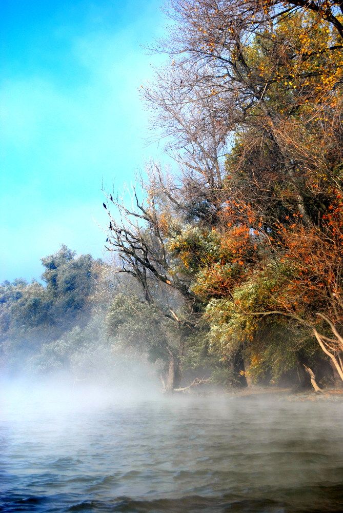 Morning mist on the river