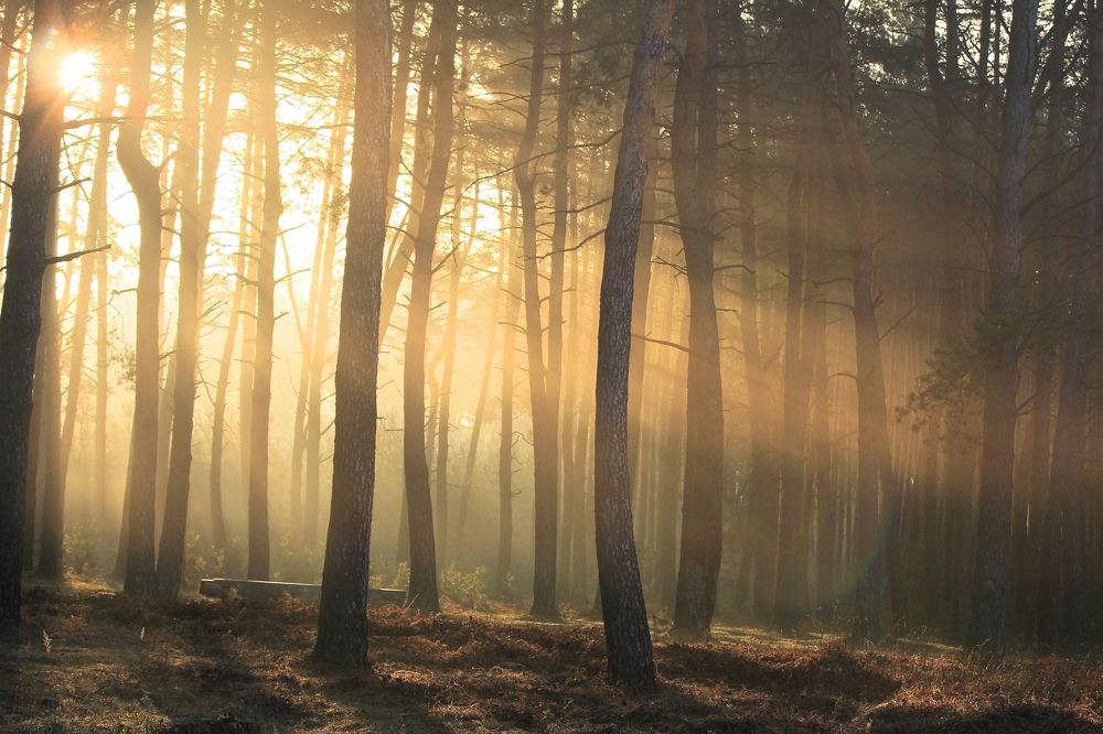 Апрельским утром