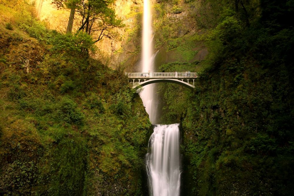 Photograph by Palash Banerjee