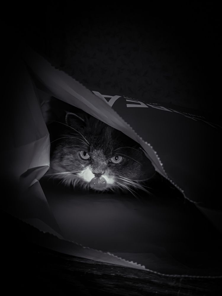 Photograph by Анна Кабиева