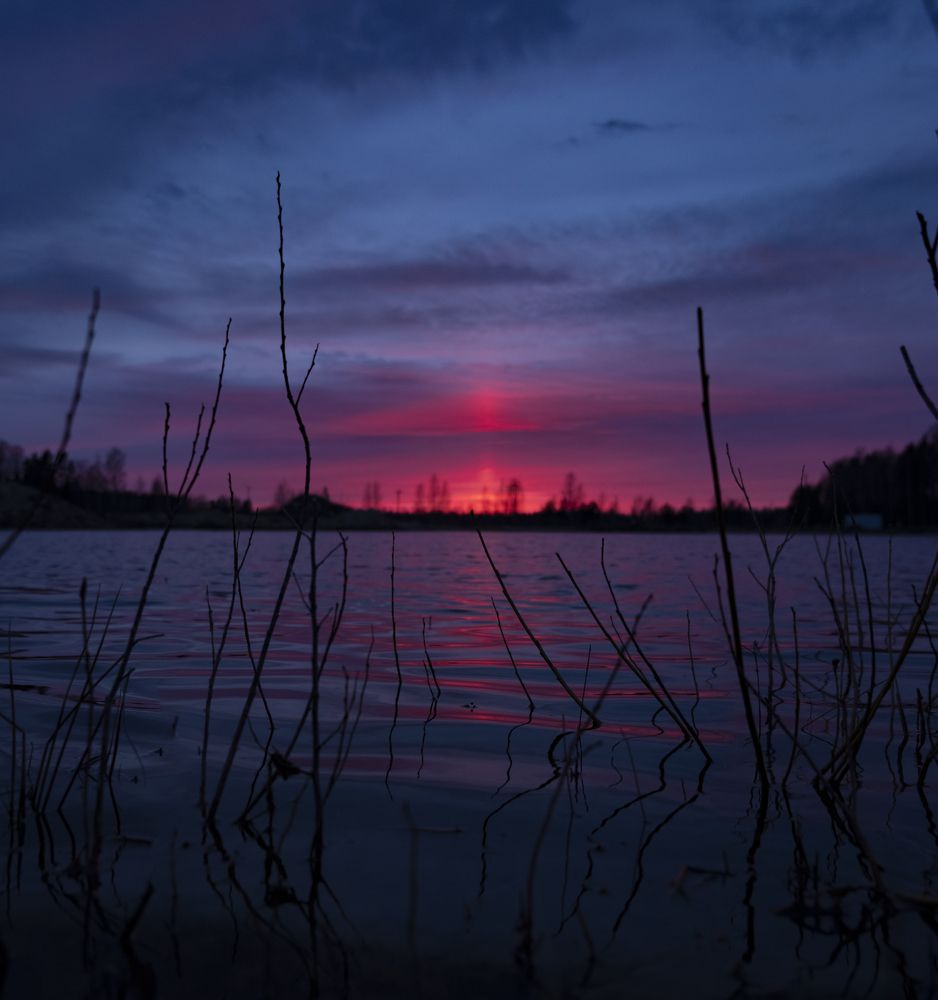 Photograph by Sandra