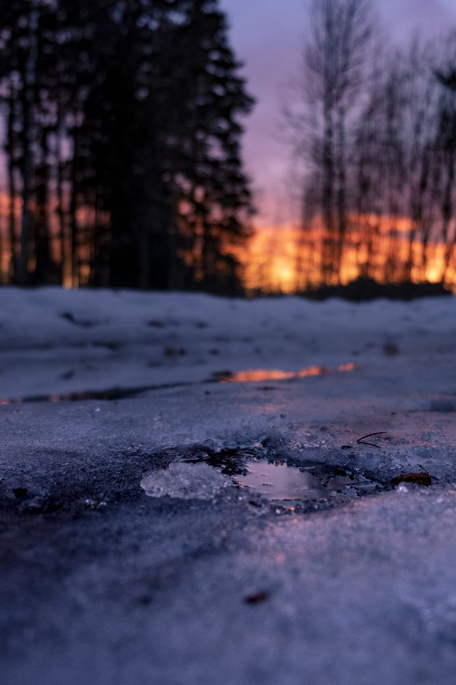 Photograph by Sandra