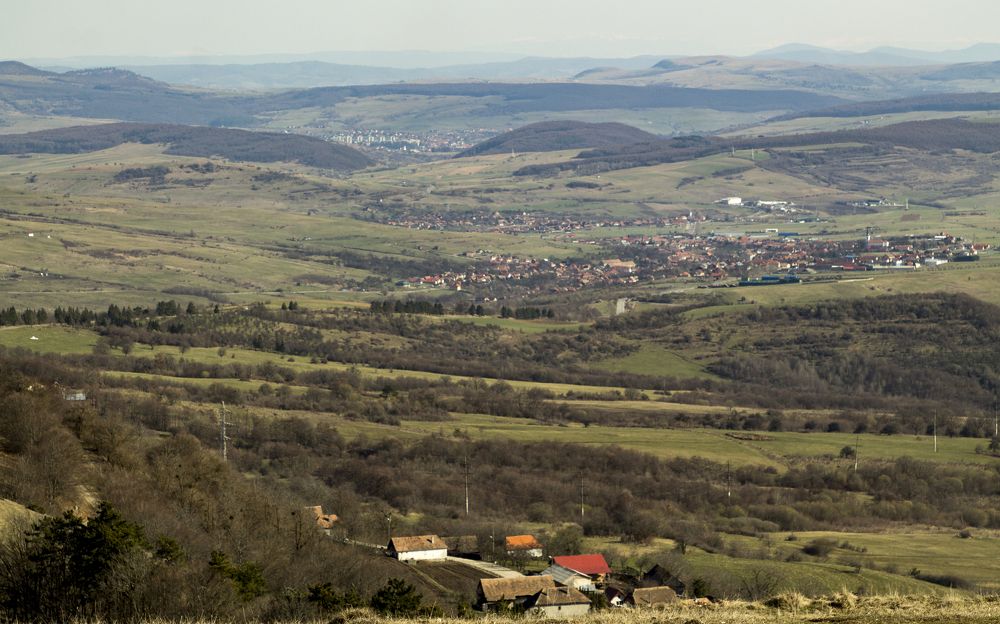 Photograph by TURCZA HUNOR