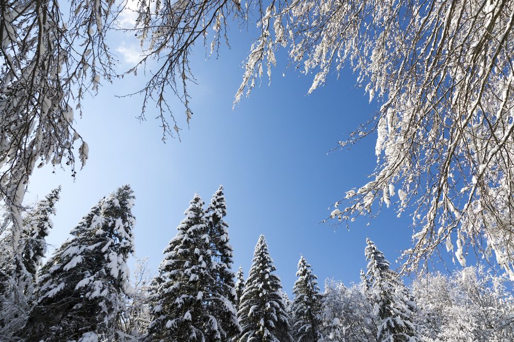 Photograph by TURCZA HUNOR