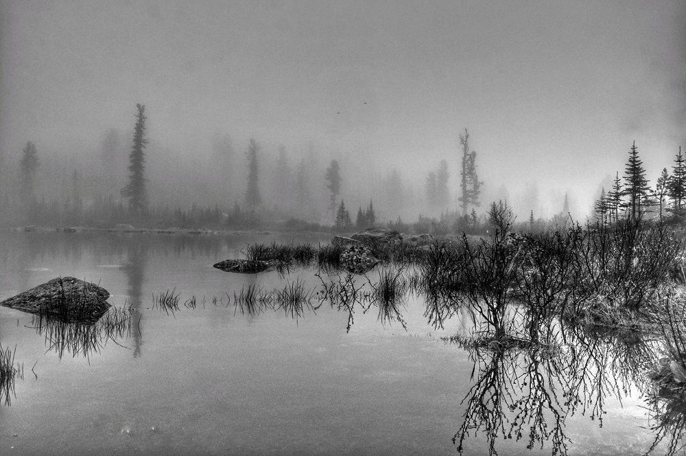 Photograph by Елена Леоненко